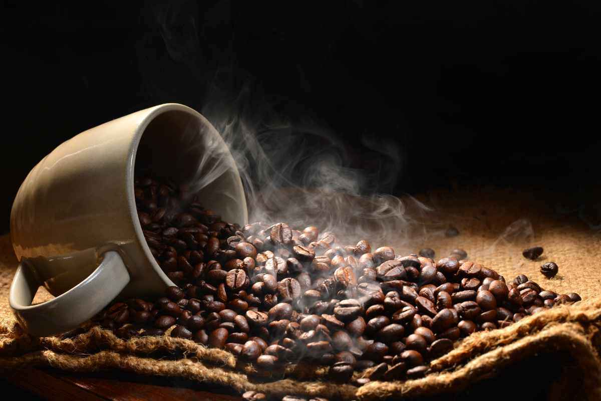 Caffè, in questo discount trovi il Miglior Acquisto secondo Altroconsumo: i dettagli