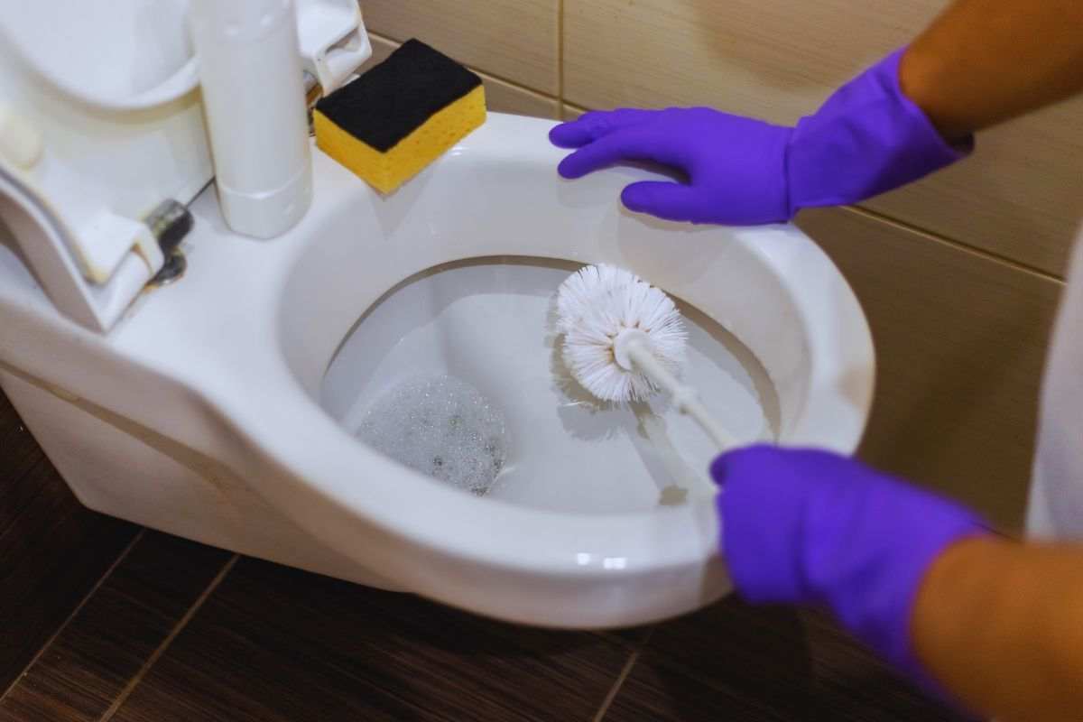 pulizia del wc: come fare