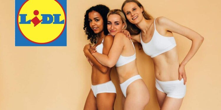 lingerie da donna in offerta da lidl