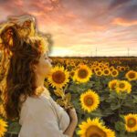 campi di girasoli dove andare