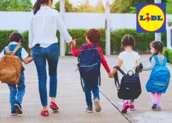 Tutto per la scuola, a prezzi Lidl