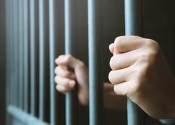 Esonero ticket, che succede se l'autocertificazione è falsa?