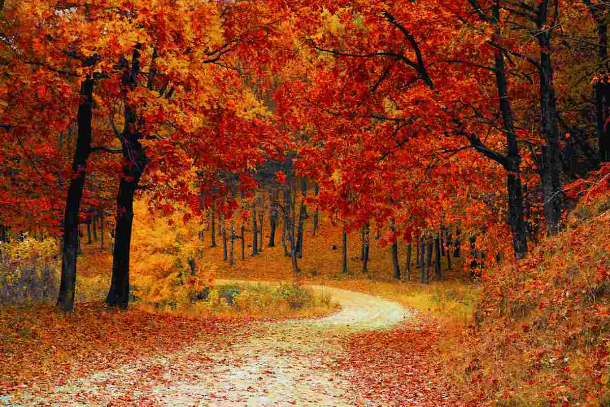 Scappa dallo stress: questi weekend di autunno sono perfetti