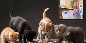 Cibo animali domestici