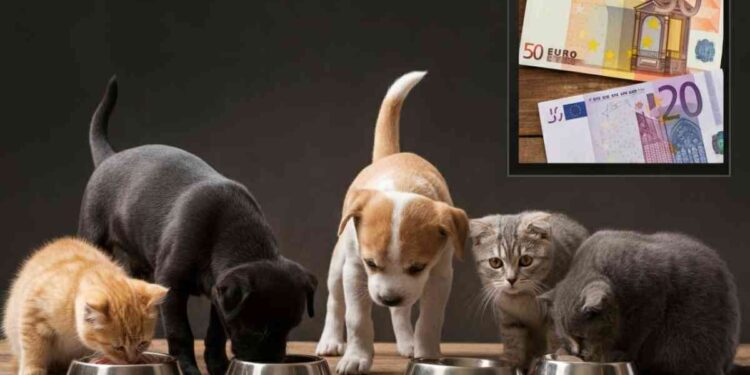 Cibo animali domestici