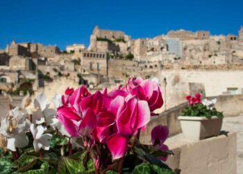 Matera