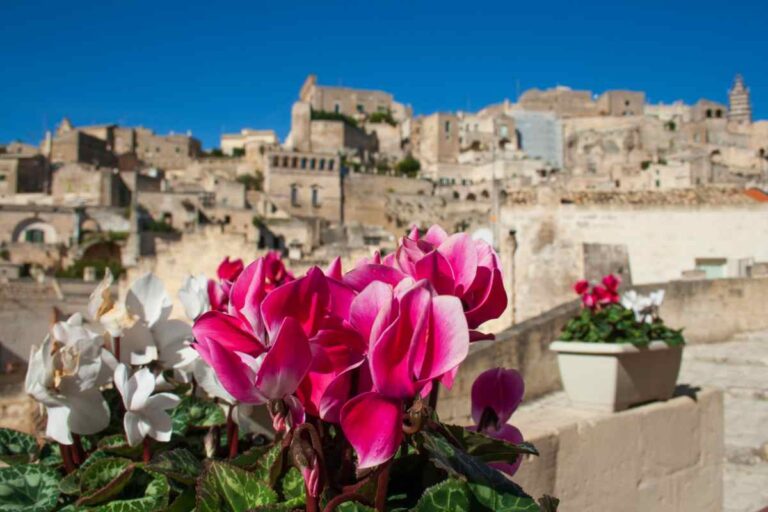 Matera