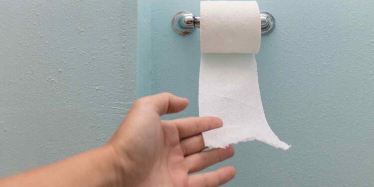 addio carta igienica: scopri l'alternativa ecosostenibile