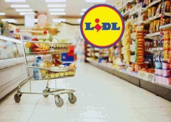 Affare lampo da Lidl: pezzi limitatissimi a meno di 50 euro