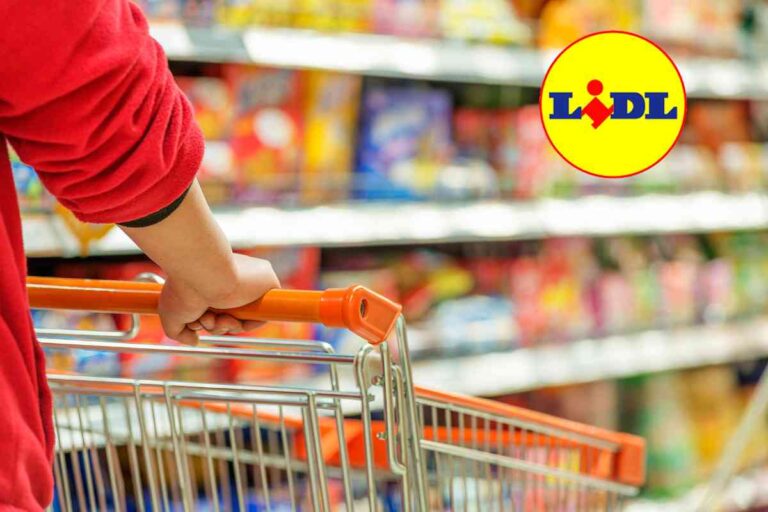 File infinite da LIDL, tutti vogliono le scarpe da corsa che costano come una pizza