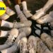 Altro che grandi firme, da Lidl trovi le scarpe più desiderate, tutti i dettagli