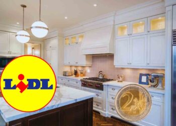 lidl: la soluzione per la cucina