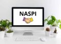 naspi 2025 le nuove regole