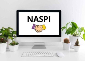 naspi 2025 le nuove regole