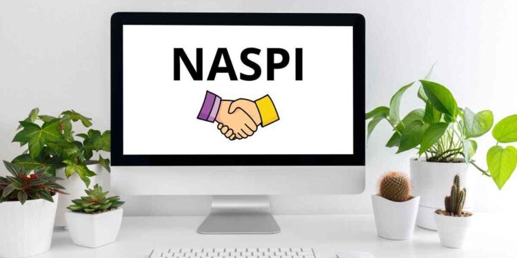 naspi 2025 le nuove regole