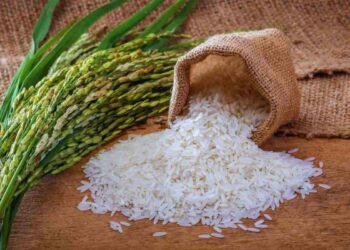 Qual è il riso migliore al supermercato