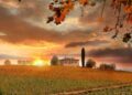 Autunno, viaggi