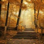 Borghi autunno