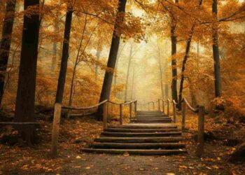 Borghi autunno