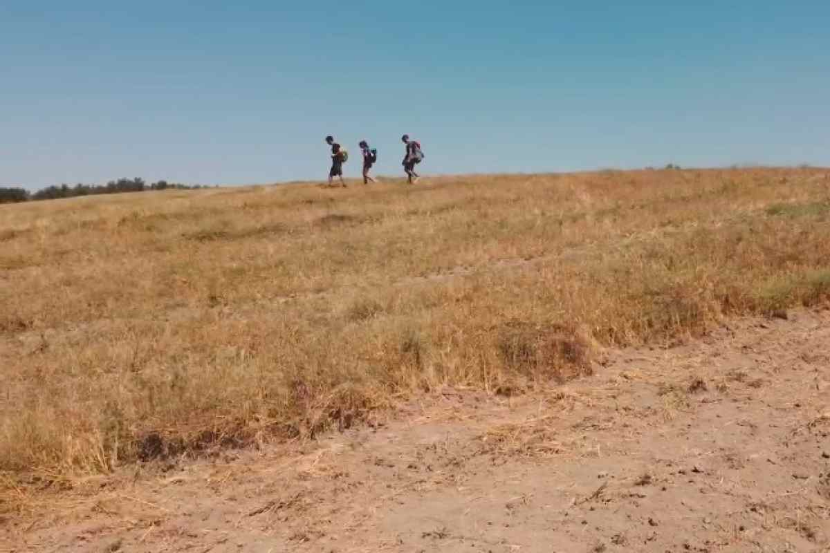 Il viaggio meraviglioso Mediaset