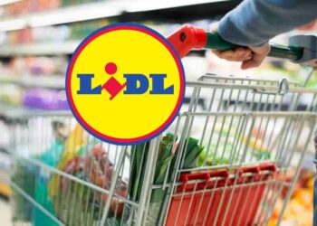 offerta microonde lidl