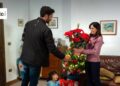 Rosa e Pino
