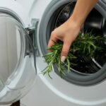 Inserisci rosmarino in lavatrice