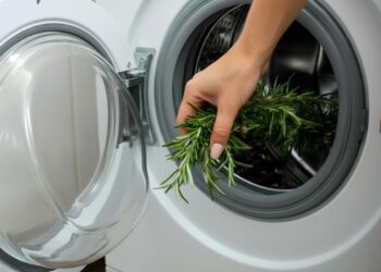 Inserisci rosmarino in lavatrice