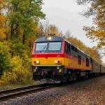 Treno del foliage