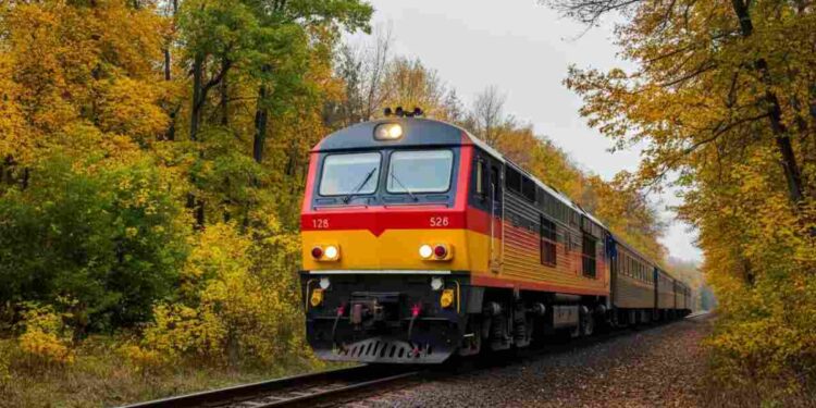 Treno del foliage