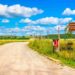 Via Francigena