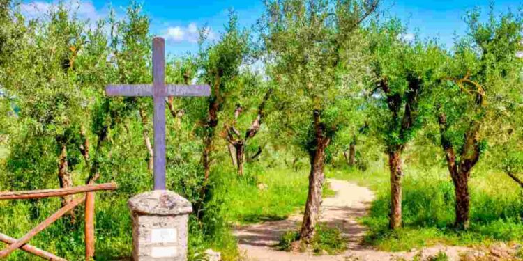 Itinerario millenario