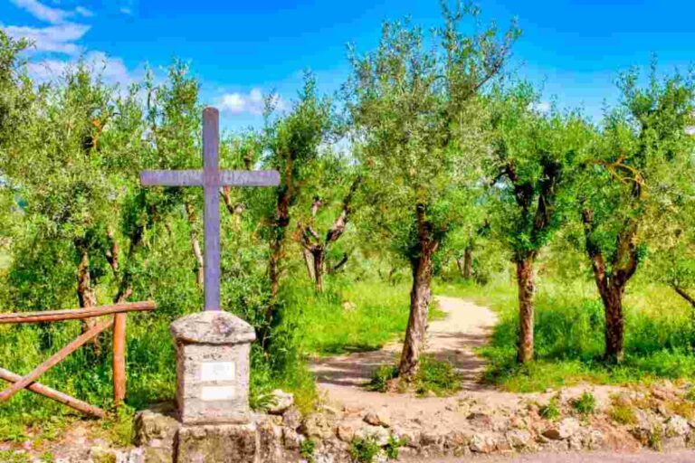 Itinerario millenario