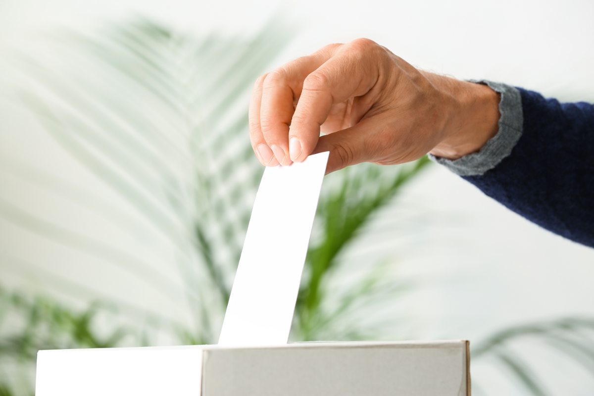 Voto scheda