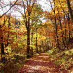 Tra montagne, borghi e prati verdi