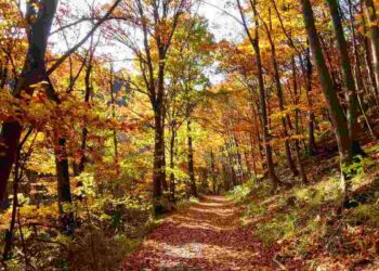 Tra montagne, borghi e prati verdi