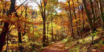 Tra montagne, borghi e prati verdi