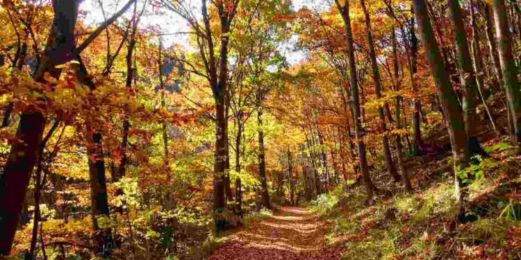 Tra montagne, borghi e prati verdi