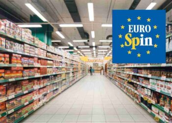 Tutti lo cercano, pochi lo trovano: l’organizer Eurospin, tutti i dettagli