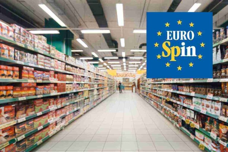 Tutti lo cercano, pochi lo trovano: l’organizer Eurospin, tutti i dettagli
