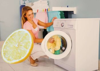 Fetta di limone in lavatrice: a cosa serve