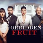 Anticipazioni Forbidden Fruit: come sta Alihan, tutti i dettagli