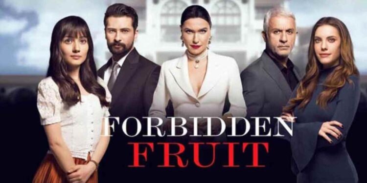 Anticipazioni Forbidden Fruit: come sta Alihan, tutti i dettagli