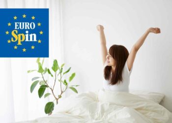 Sogni un letto super comodo? Da Eurospin costa meno di una cena:, tutti i dettagli