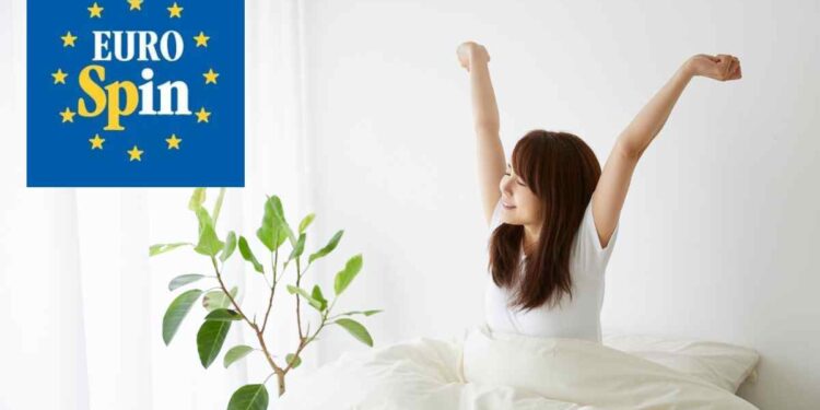 Sogni un letto super comodo? Da Eurospin costa meno di una cena:, tutti i dettagli