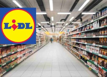 Di solito te lo fanno pagare un'esagerazione, Lidl quasi lo regala