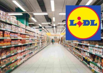 Lidl, con poco più di 20 euro hai 3 piumini in 1: chi lo ha provato dice che è meglio dei modelli IKEA