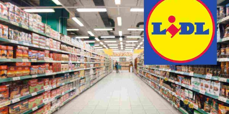 Lidl, con poco più di 20 euro hai 3 piumini in 1: chi lo ha provato dice che è meglio dei modelli IKEA