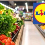 Lidl lancia il mese dei ribassi folli: affari imperdibili su alimenti,, i dettagli