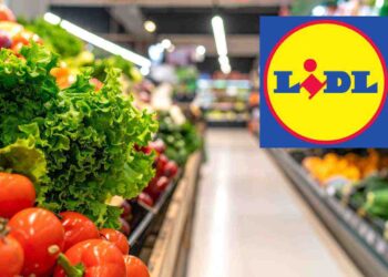 Lidl lancia il mese dei ribassi folli: affari imperdibili su alimenti,, i dettagli